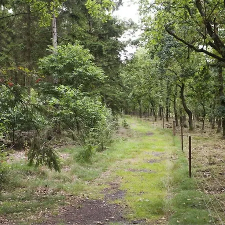 Hedemarken Grindsted