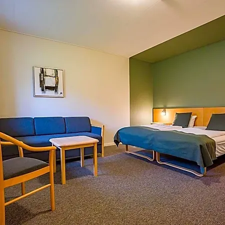 فندق Hedemarken 3*